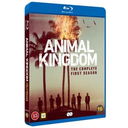Animal Kingdom: sesong 1 (Blu-ray)