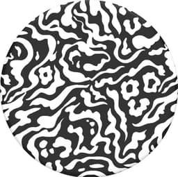 PopSockets PopTop utskiftbar topp til mobilgrep (zebra melt)