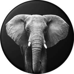 Popsockets PopTop utbytbar topp (africana)