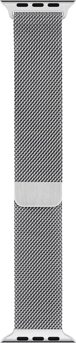 Apple Watch 40 mm milanolaisranneke (hopea)