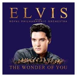 Elvis - The Wonder Of You & If I Can Dream