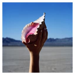 The Killers - Wonderful Wonderful (CD)
