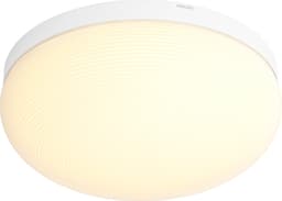 Philips Hue Flourish loftslys 4090531P9