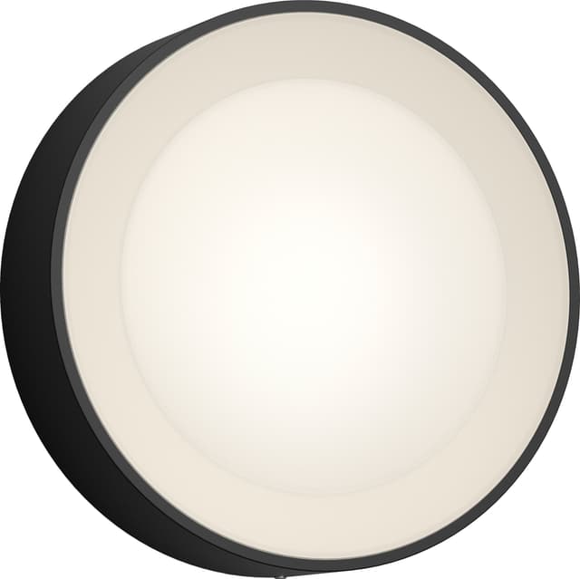 Hue Daylo svart vägglampa 15W