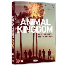 Animal Kingdom - Kausi 1 (DVD)