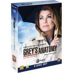 Grey's Anatomy: sesong 12 (DVD)