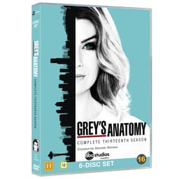 Grey's Anatomy - Sesong 13 (DVD)