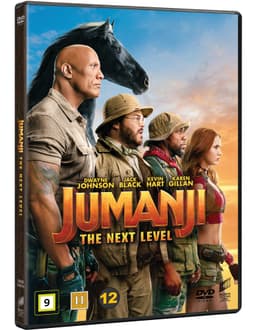 JUMANJI: THE NEXT LEVEL (DVD)