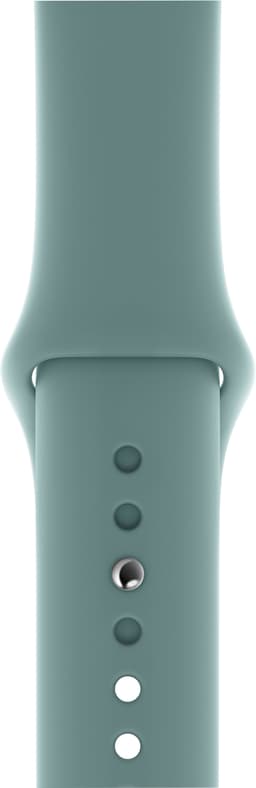 Apple 40 mm Sport armband (kaktus)