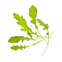 TREGREN Frøkapsler Ruccola 2 stk.
