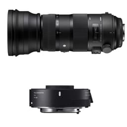 SIGMA AF 150-600 f/5-6.3 DG OS HSM Sports+TC-1401 NIKON