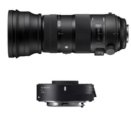 SIGMA AF 150-600 f/5-6.3 DG OS HSM Sports + TC-1401 EOS