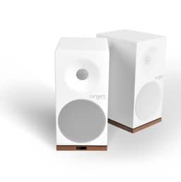 Tangent Spectrum X5 Phono White Pair
