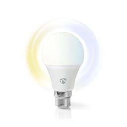 WiFi-smart LED-lyspære | Full farge og varmt hvitt | B22