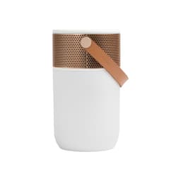 aGLOW Bluetooth Högtalare Vit/Guld, LED-Lampa