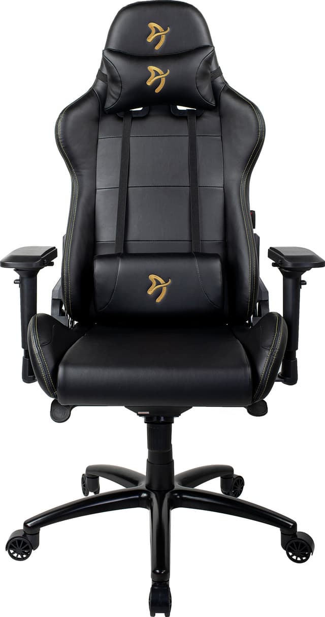 Black/gold