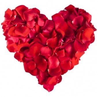 Rosenblad 500 stk - Elkjøp | Elkjøp