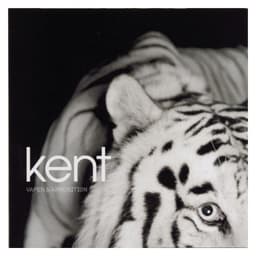 Kent ‎– Vapen & Ammunition (LP)