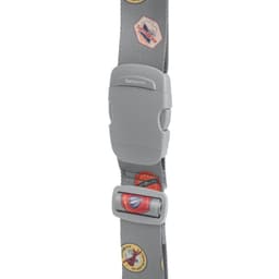 Bagasjerommet grått