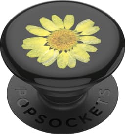 Popsockets Premium mobilhållare (pressed flower yellow daisy)