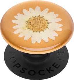 Popsockets Premium grep t. mobile enheter (pressed flower white daisy)
