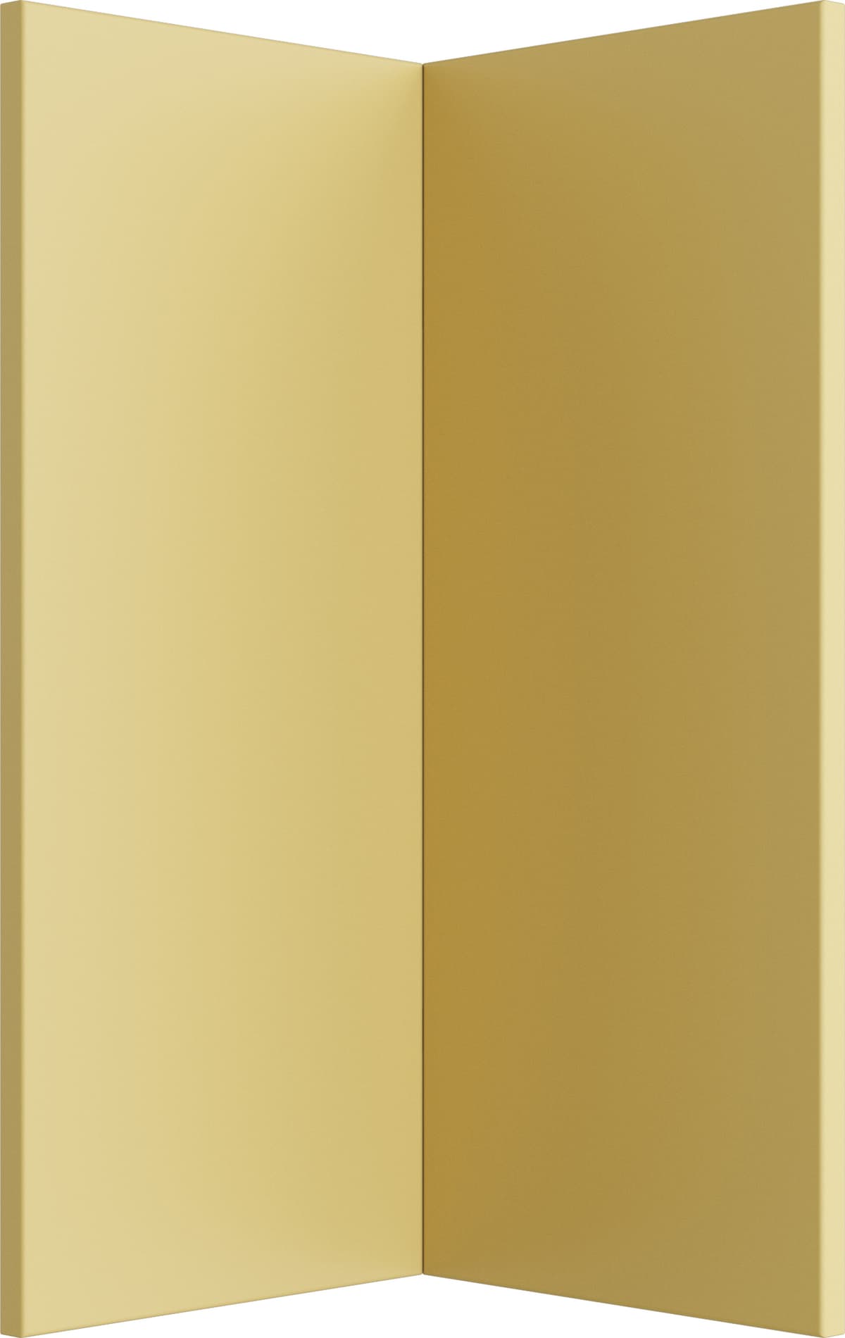 asset