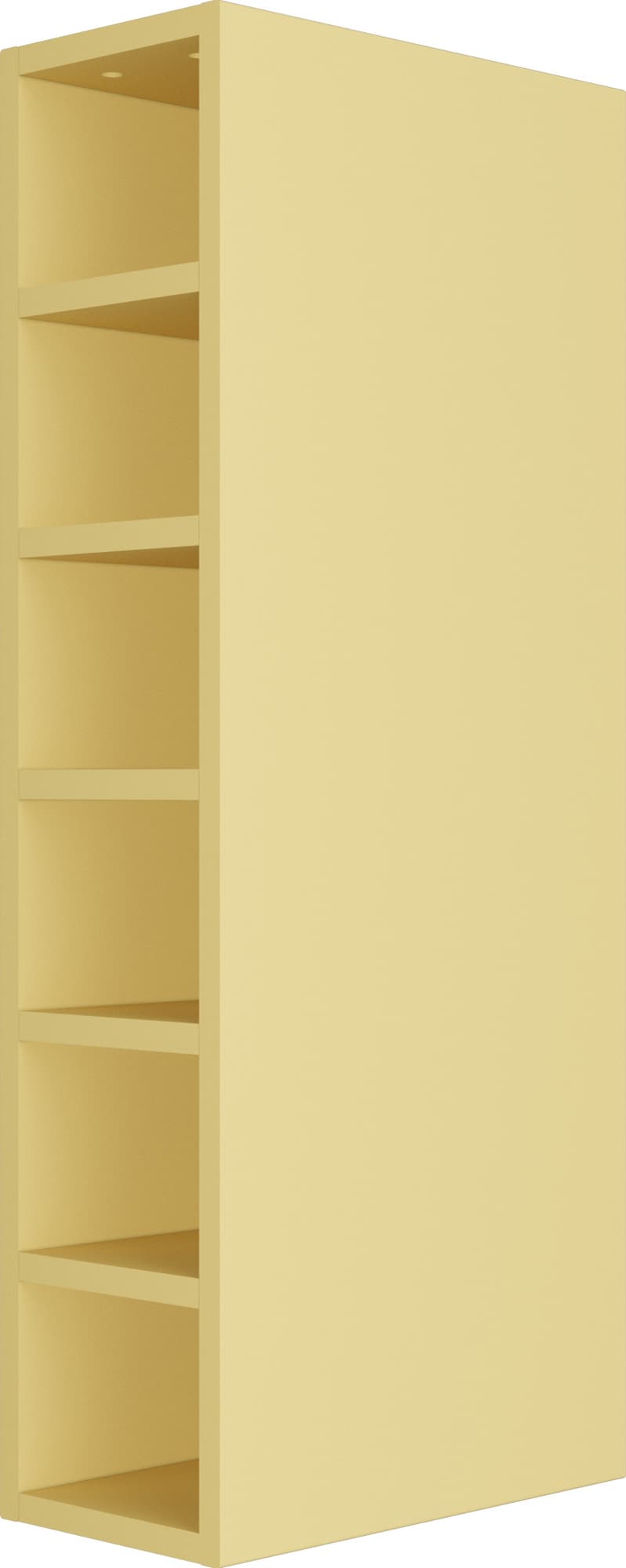 asset