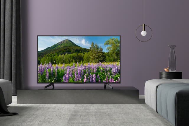 Haut-parleurs (baffles) Pour Téléviseur Sony KD-65XF7005 - Pièce D'occasion - Fonctionnels