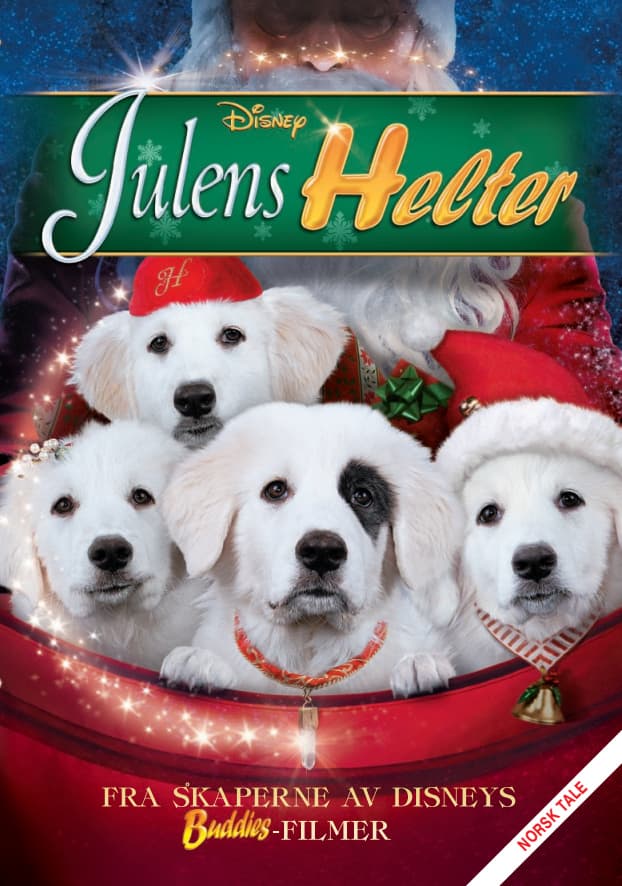 JULENS HELTER (DVD)