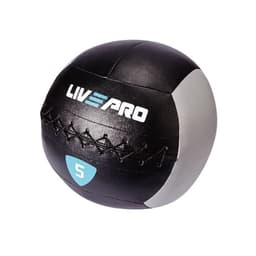 Warrior Wall Ball