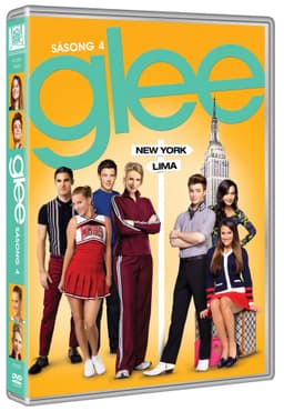 Glee Sæson 4 (DVD)