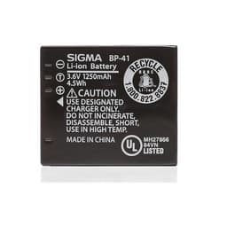 SIGMA Batteri DP1/2-Merrill BP-41