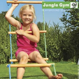 Jungle Gym Repstege trä