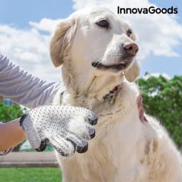 Handske för att borsta och massera husdjur från innovagoods