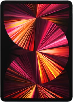iPad Pro 11" 2021 256 GB WiFi + Cellular (rymdgrå)