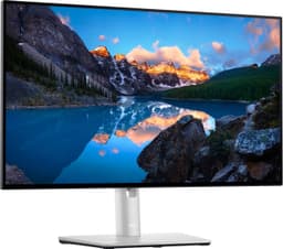 Dell UltraSharp U2422HE 23,8" skærm