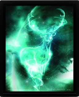 Harry Potter 3d Poster