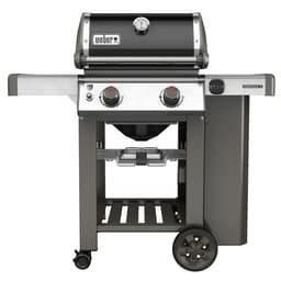 WEBER 60018184 Gas grill