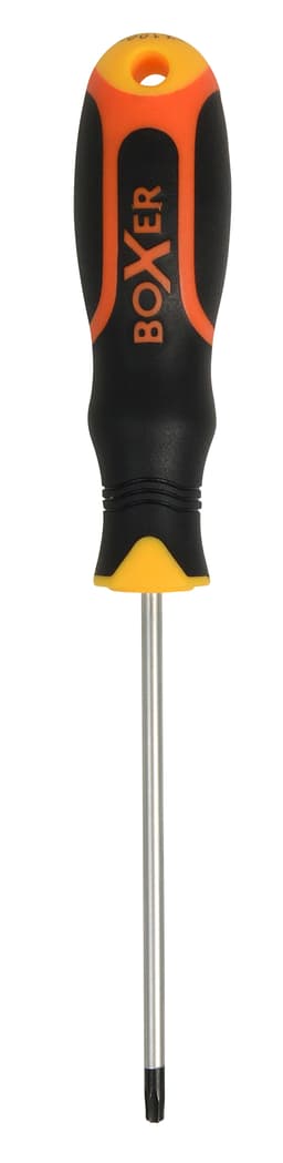 Skruvmejsel T20 – 100 mm