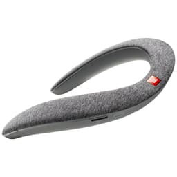 JBL Soundgear BTA højttaler (grå)