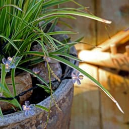 Bloom Koristeellinen valosilmukka 10m