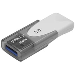 PNY Attache 4 USB 3.0 minne 256 GB