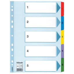ESSELTE Register Mylar A4/1-5