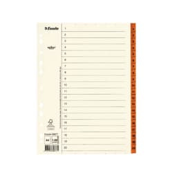 ESSELTE Register Servo A4/1-20 Brun