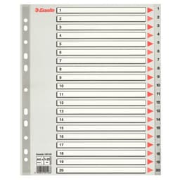 ESSELTE Register PP A4 Maxi/1-20 Grå