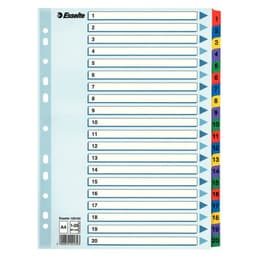 ESSELTE Register Mylar A4/1-20 Multifärgat