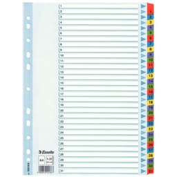ESSELTE Register Mylar A4/1-31 Multifarvet