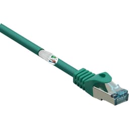 Basetech BT-1715472 RJ45 Nätverkkabel, Patchkabel CAT 6A S/FTP 1.00 m Grön med låsskydd, Flamskyddsmedel 1 st