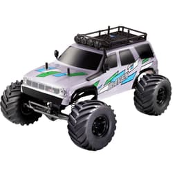 Reely Raven Borst motor 1:10 RC modellbil Elektrisk