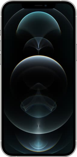 iPhone 12 Pro Max - 5G smartphone 256GB (silver)